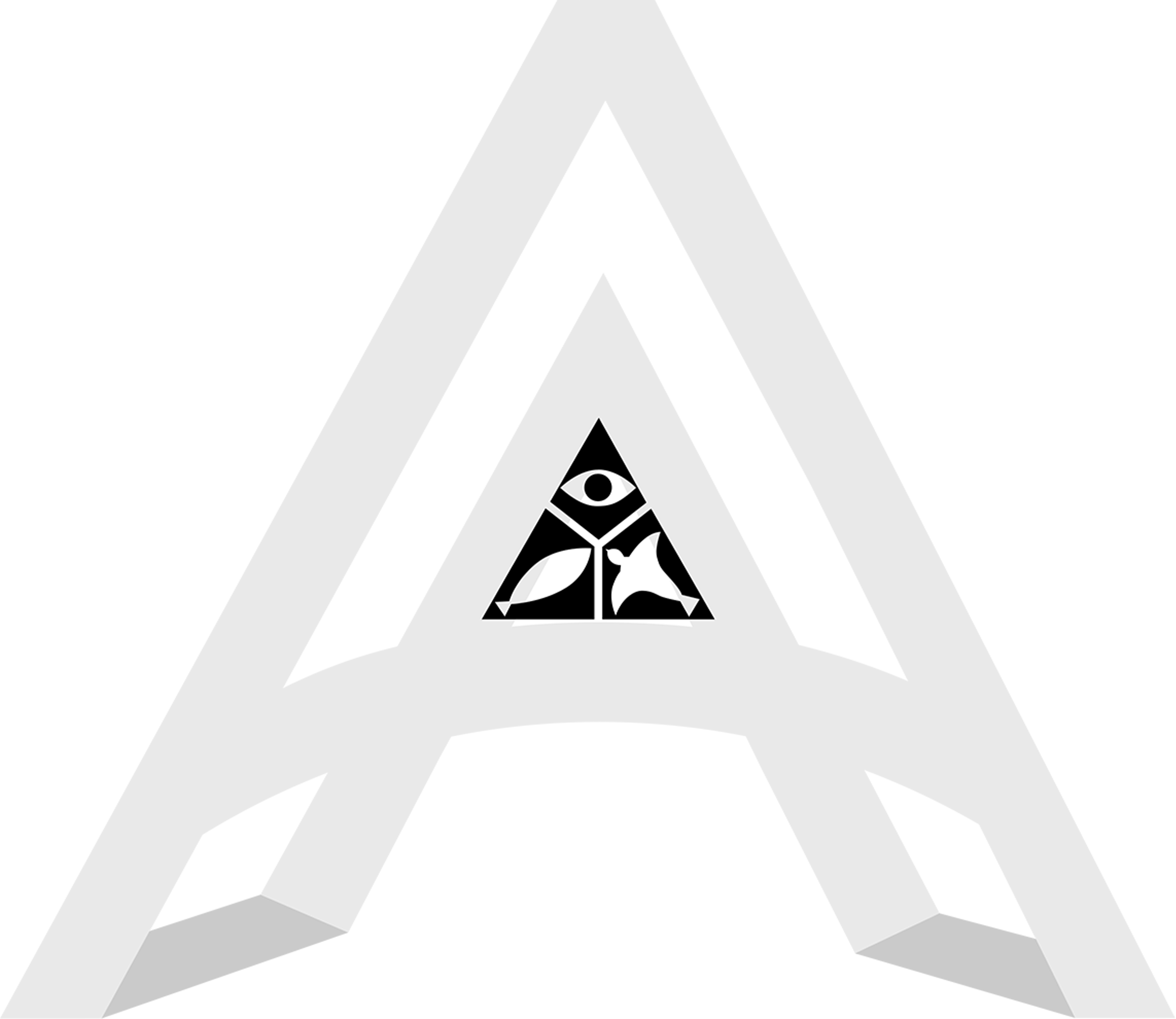 AMPLIFY
